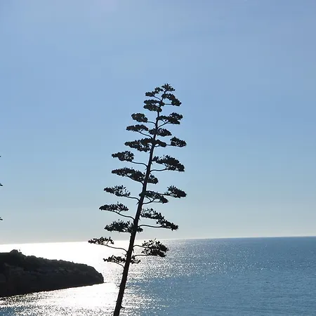 Moles Villa Salou